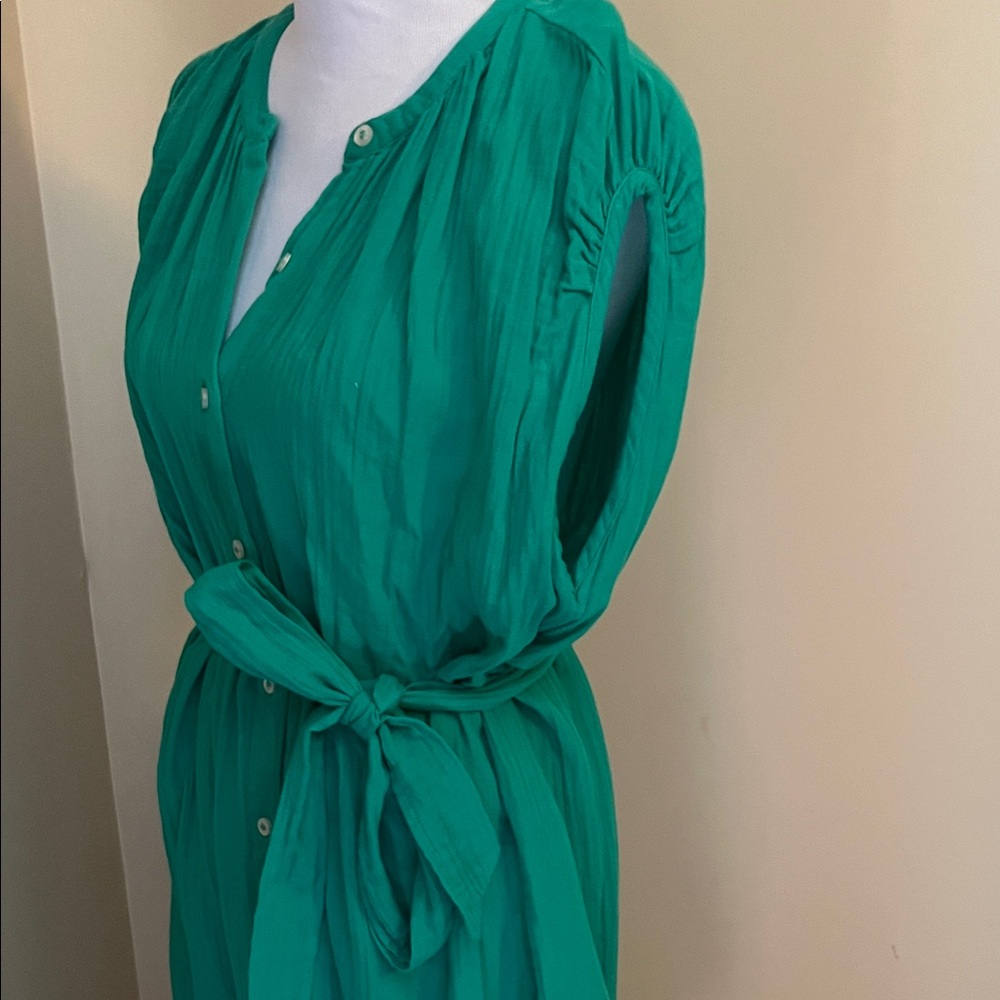GAP Green Buttoned Midi Dress - Picture 6 of 8